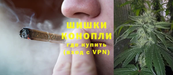 прущие грибы Лихославль