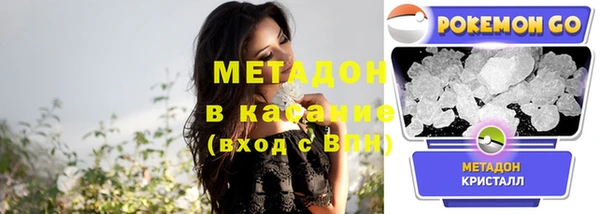прущие грибы Лихославль
