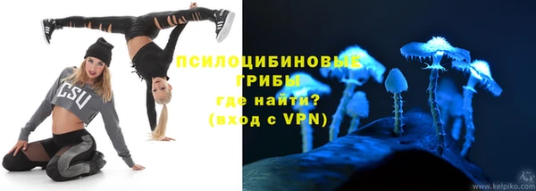 прущие грибы Лихославль