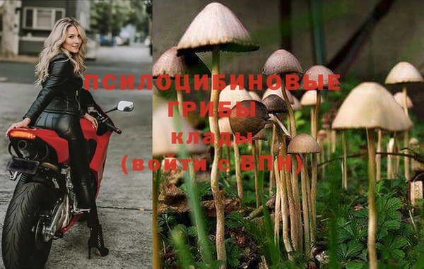 метамфетамин Липки