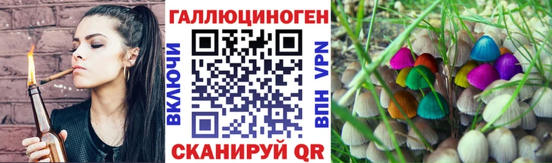 Купить закладки  Анива  Галлюциногенные грибы GOLDEN TEACHER 
